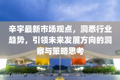 辛宇最新市場觀點，洞悉行業(yè)趨勢，引領(lǐng)未來發(fā)展方向的洞察與策略思考