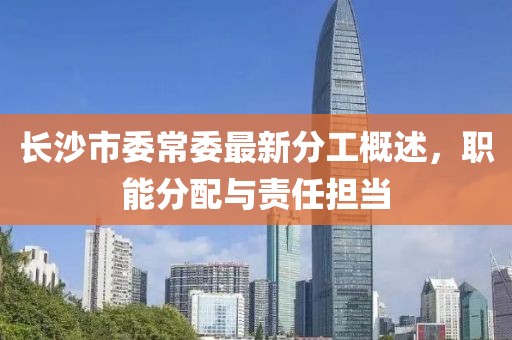 長沙市委常委最新分工概述，職能分配與責(zé)任擔(dān)當(dāng)