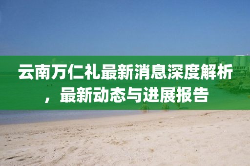 云南萬仁禮最新消息深度解析，最新動態(tài)與進展報告