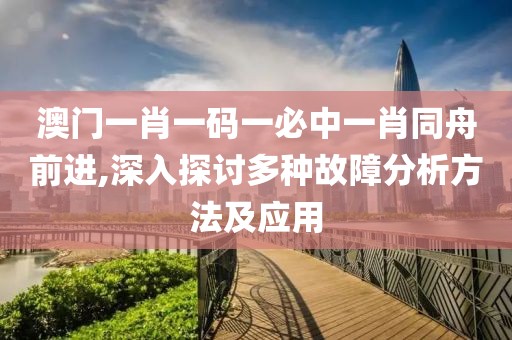 澳門一肖一碼一必中一肖同舟前進,深入探討多種故障分析方法及應用