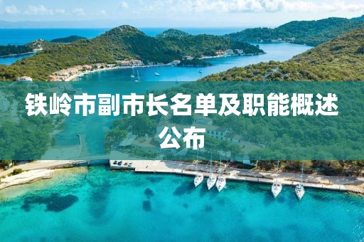 鐵嶺市副市長名單及職能概述公布