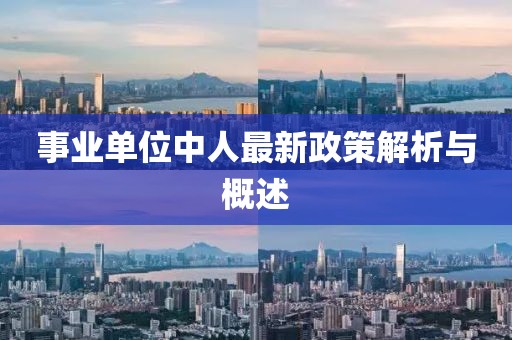 事業(yè)單位中人最新政策解析與概述