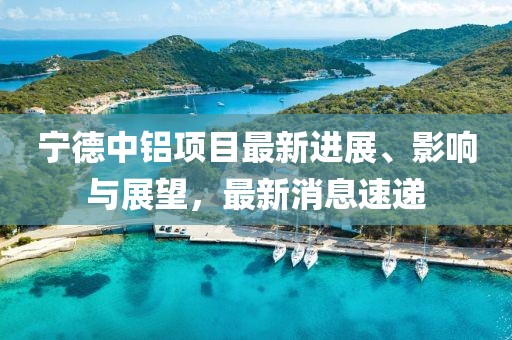 寧德中鋁項(xiàng)目最新進(jìn)展、影響與展望，最新消息速遞
