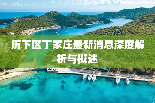 歷下區(qū)丁家莊最新消息深度解析與概述
