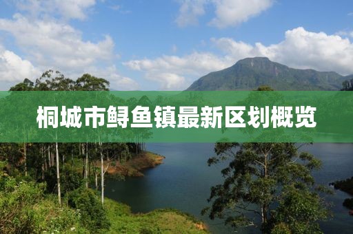 桐城市鱘魚鎮(zhèn)最新區(qū)劃概覽