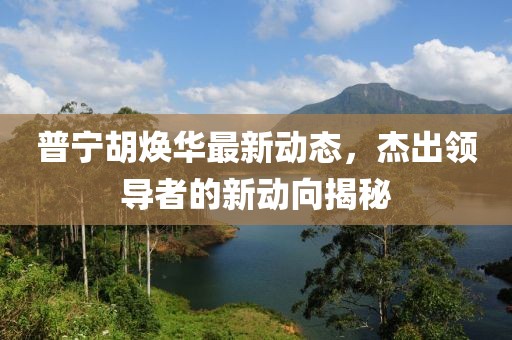 普寧胡煥華最新動態(tài)，杰出領(lǐng)導(dǎo)者的新動向揭秘