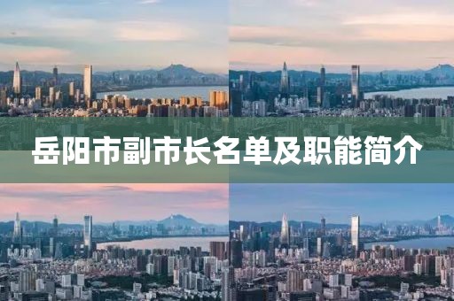 岳陽市副市長名單及職能簡介