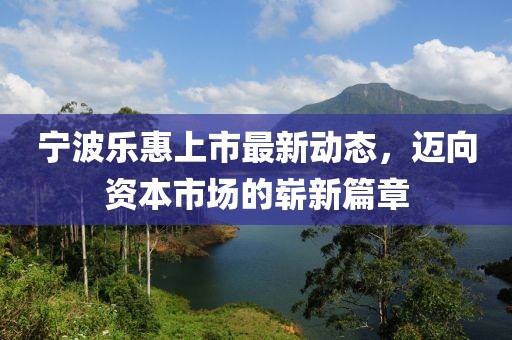 寧波樂(lè)惠上市最新動(dòng)態(tài)，邁向資本市場(chǎng)的嶄新篇章
