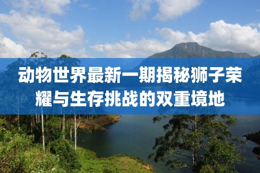 動物世界最新一期揭秘獅子榮耀與生存挑戰(zhàn)的雙重境地