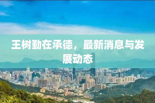 王樹勤在承德，最新消息與發(fā)展動態(tài)
