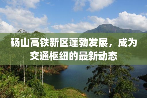 碭山高鐵新區(qū)蓬勃發(fā)展，成為交通樞紐的最新動態(tài)