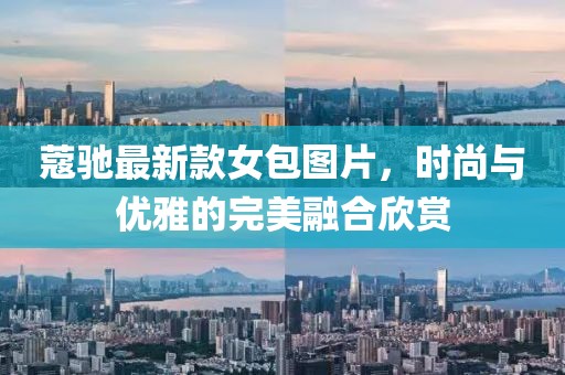 蔻馳最新款女包圖片，時尚與優(yōu)雅的完美融合欣賞