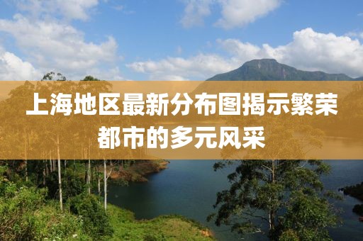 上海地區(qū)最新分布圖揭示繁榮都市的多元風采