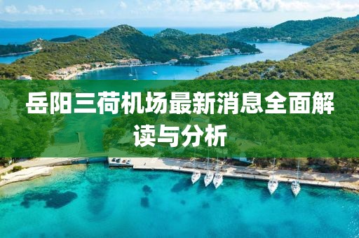 岳陽(yáng)三荷機(jī)場(chǎng)最新消息全面解讀與分析