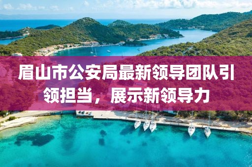 眉山市公安局最新領(lǐng)導(dǎo)團(tuán)隊(duì)引領(lǐng)擔(dān)當(dāng)，展示新領(lǐng)導(dǎo)力