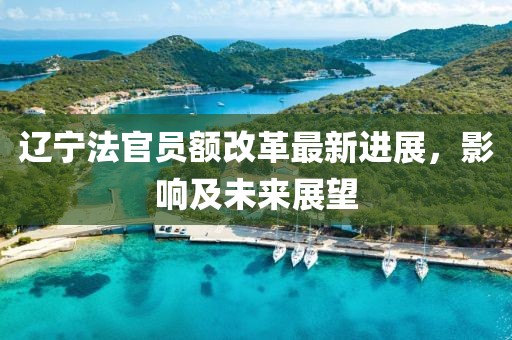 遼寧法官員額改革最新進(jìn)展，影響及未來展望