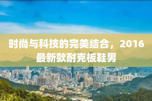 時尚與科技的完美結(jié)合，2016最新款耐克板鞋男