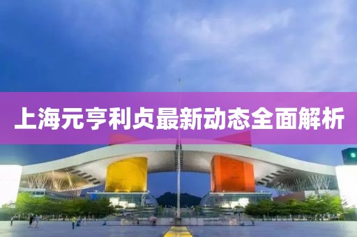 上海元亨利貞最新動態(tài)全面解析