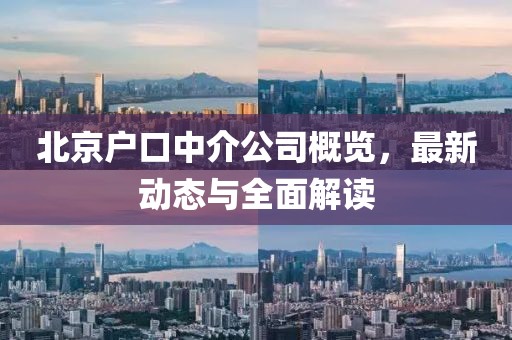 北京戶口中介公司概覽，最新動(dòng)態(tài)與全面解讀