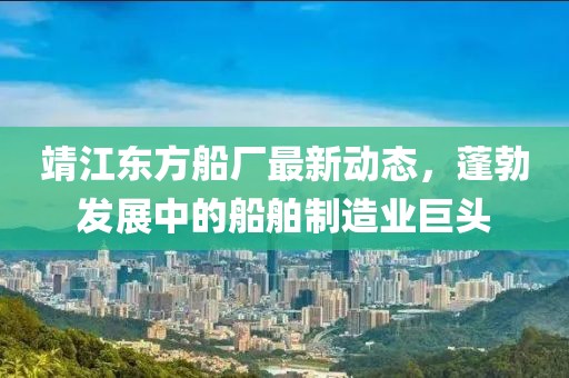 靖江東方船廠最新動態(tài)，蓬勃發(fā)展中的船舶制造業(yè)巨頭