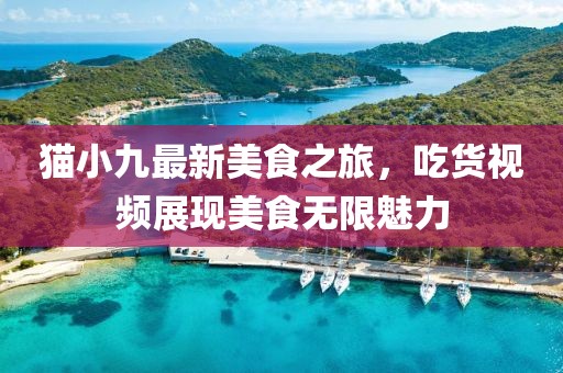 貓小九最新美食之旅，吃貨視頻展現(xiàn)美食無限魅力