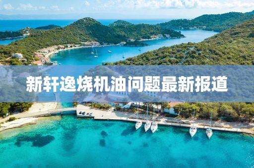 新軒逸燒機油問題最新報道