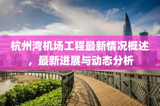 杭州灣機場工程最新情況概述，最新進展與動態(tài)分析