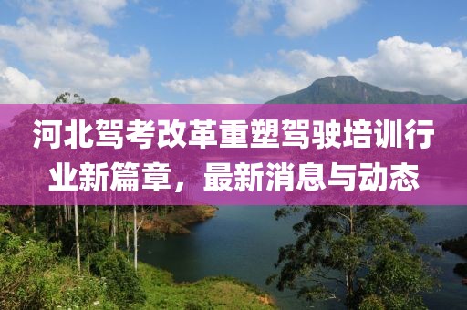 河北駕考改革重塑駕駛培訓行業(yè)新篇章，最新消息與動態(tài)