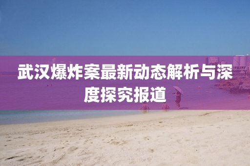 武漢爆炸案最新動態(tài)解析與深度探究報道
