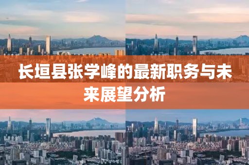 長垣縣張學(xué)峰的最新職務(wù)與未來展望分析