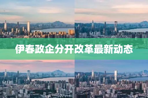伊春政企分開改革最新動態(tài)
