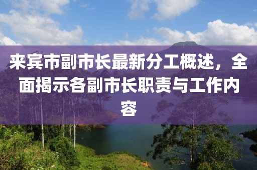 來賓市副市長(zhǎng)最新分工概述，全面揭示各副市長(zhǎng)職責(zé)與工作內(nèi)容