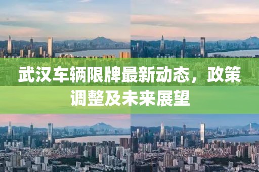武漢車輛限牌最新動態(tài)，政策調整及未來展望