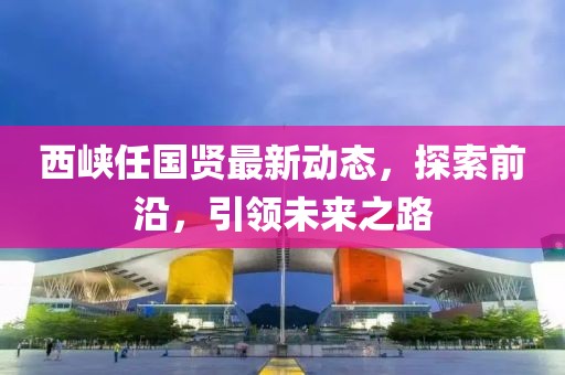 西峽任國(guó)賢最新動(dòng)態(tài)，探索前沿，引領(lǐng)未來(lái)之路