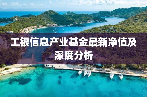 工銀信息產(chǎn)業(yè)基金最新凈值及深度分析