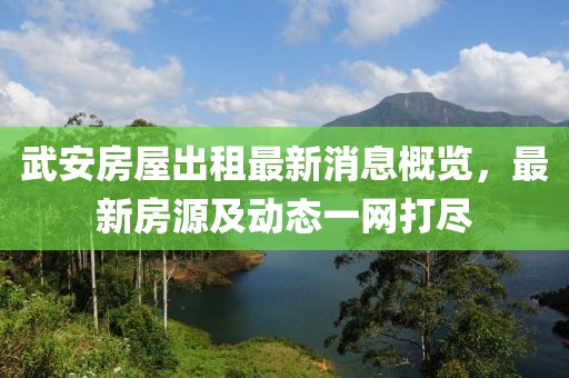 武安房屋出租最新消息概覽，最新房源及動態(tài)一網(wǎng)打盡