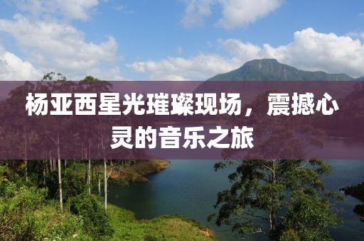 楊亞西星光璀璨現(xiàn)場，震撼心靈的音樂之旅
