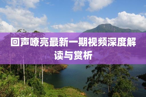 回聲嘹亮最新一期視頻深度解讀與賞析