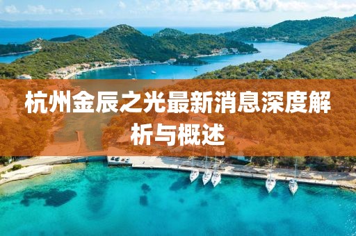 杭州金辰之光最新消息深度解析與概述