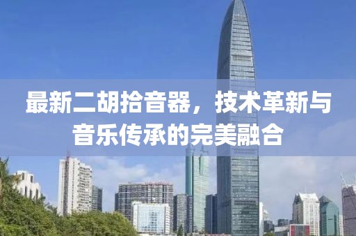 最新二胡拾音器，技術(shù)革新與音樂(lè)傳承的完美融合