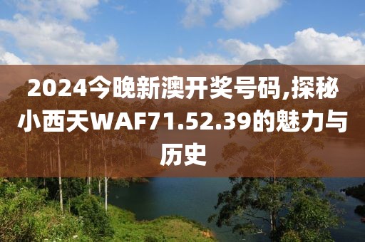 2024今晚新澳開獎號碼,探秘小西天WAF71.52.39的魅力與歷史