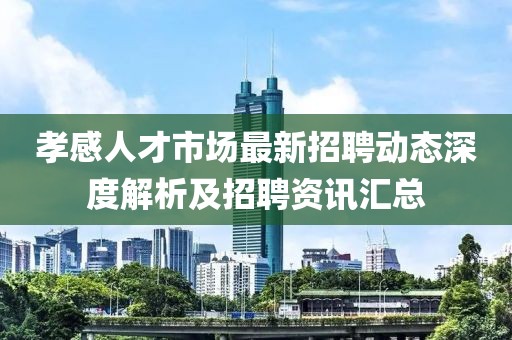 孝感人才市場最新招聘動態(tài)深度解析及招聘資訊匯總