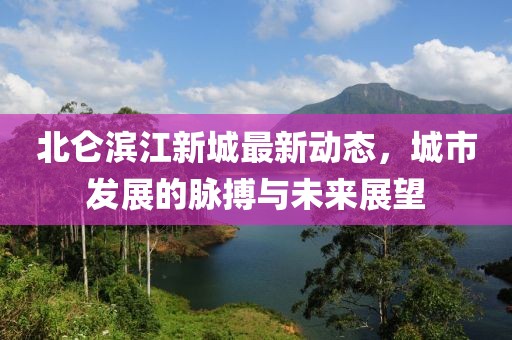 北侖濱江新城最新動態(tài)，城市發(fā)展的脈搏與未來展望
