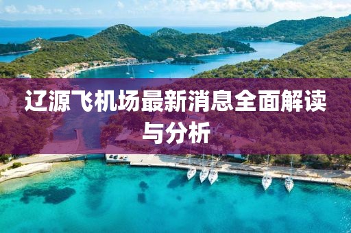 遼源飛機場最新消息全面解讀與分析