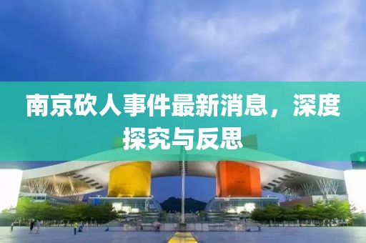 南京砍人事件最新消息，深度探究與反思