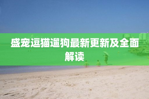 盛寵逗貓遛狗最新更新及全面解讀