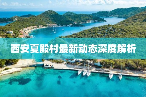 西安夏殿村最新動態(tài)深度解析