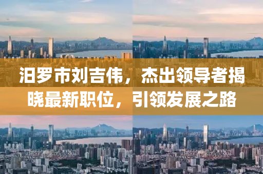 汨羅市劉吉偉，杰出領(lǐng)導(dǎo)者揭曉最新職位，引領(lǐng)發(fā)展之路