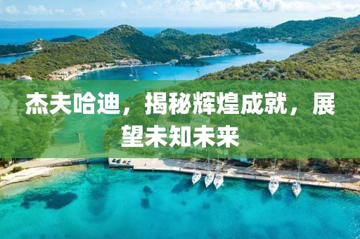 杰夫哈迪，揭秘輝煌成就，展望未知未來(lái)