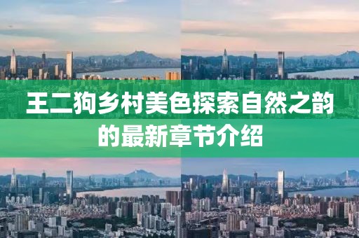 王二狗鄉(xiāng)村美色探索自然之韻的最新章節(jié)介紹